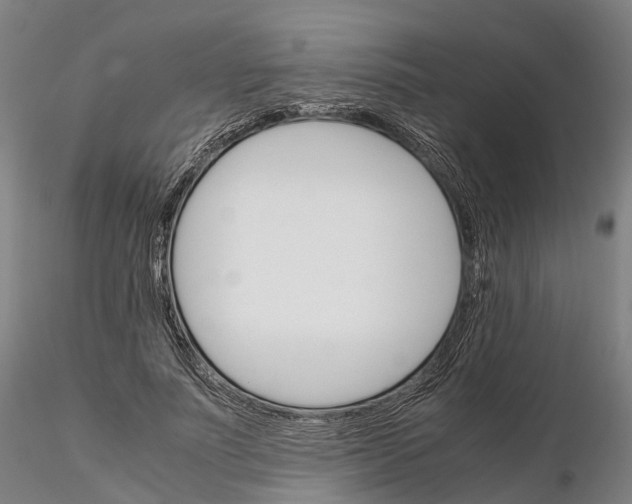 X0000115700691200912031505