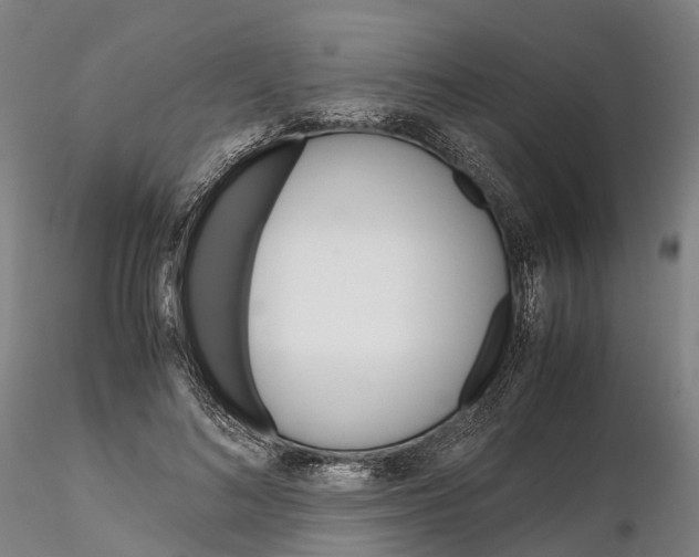 X0000115700692200912031505