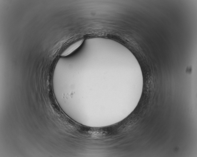 X0000115700693200912031505