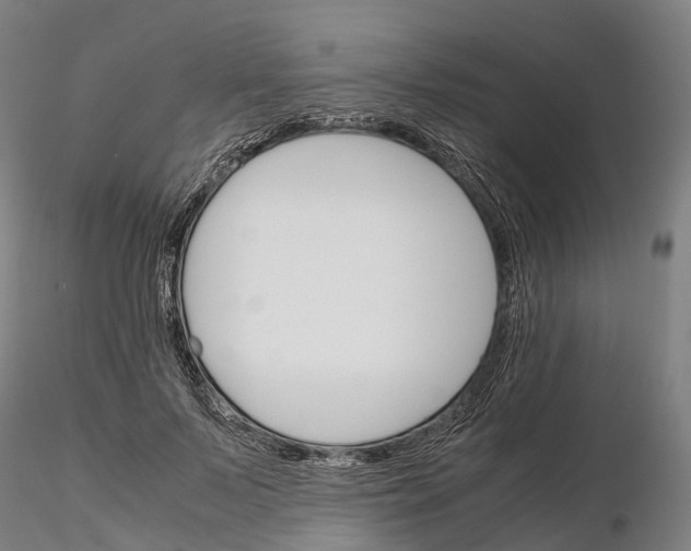 X0000115700695200912031505