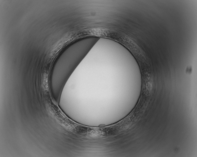 X0000115700696200912031505