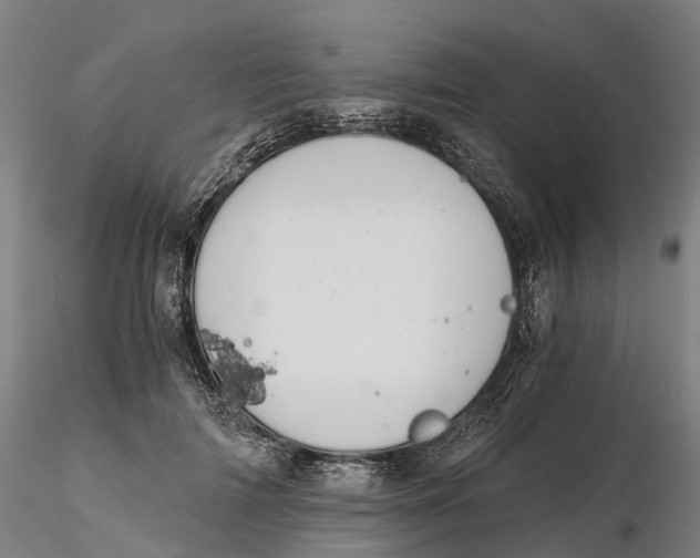 X0000115700698200912031505