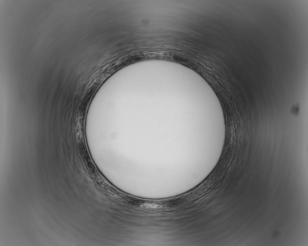 X0000115700699200912031505