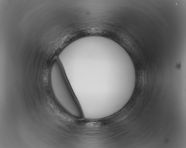 X0000115700700200912031505