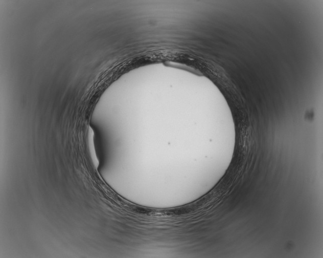 X0000115700701200912031505