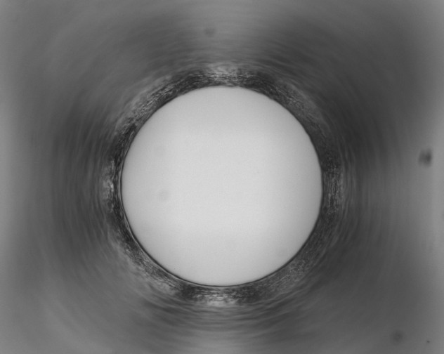 X0000115700702200912031505