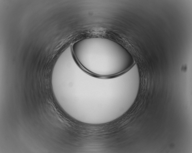 X0000115700704200912031505