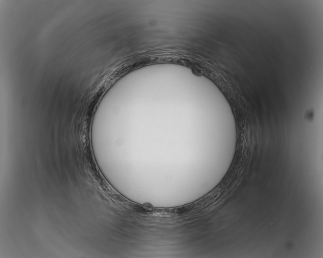 X0000115700708200912031505