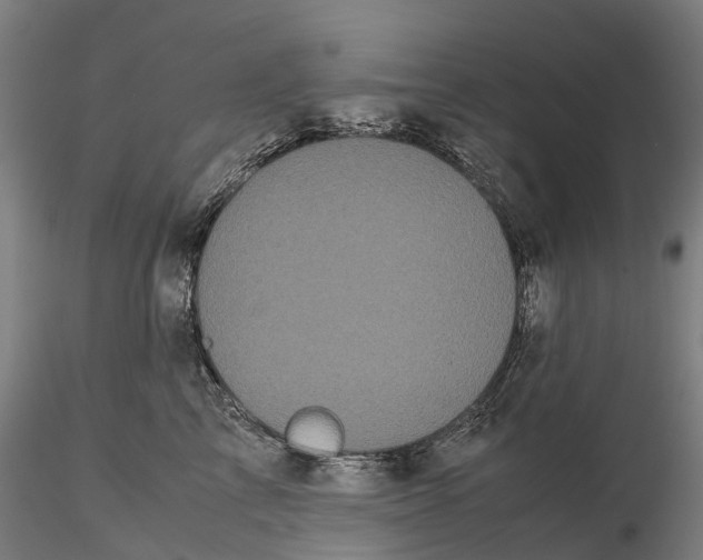 X0000115700713200912031505