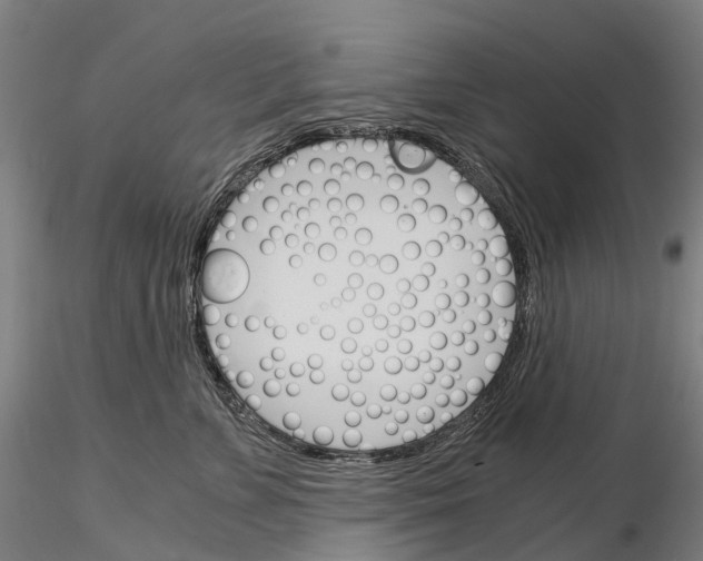 X0000115700715200912031505