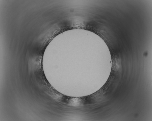 X0000115700717200912031505