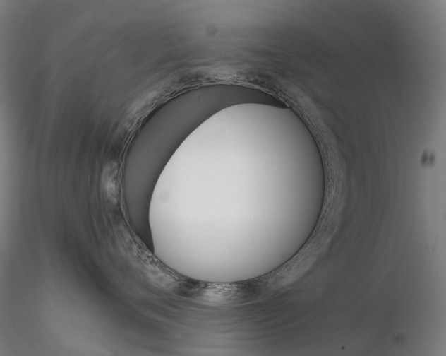 X0000115700720200912031505