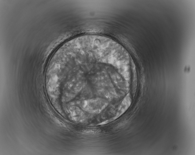 X0000115700721200912031504