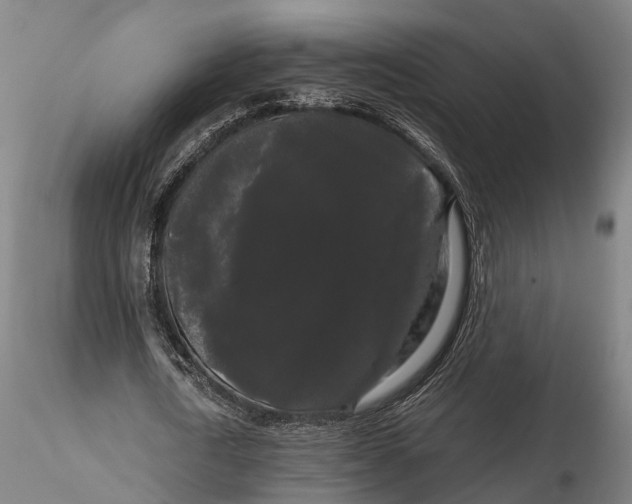 X0000115700722200912031504