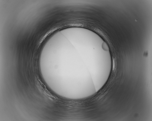 X0000115700723200912031504