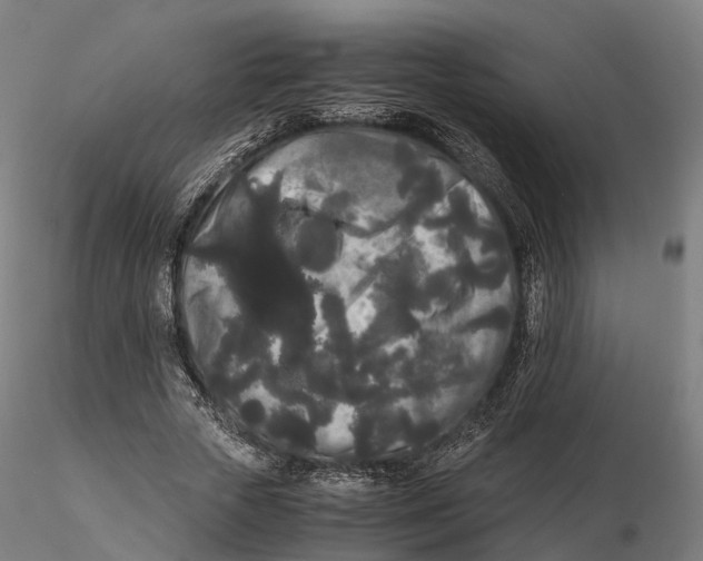 X0000115700729200912031504