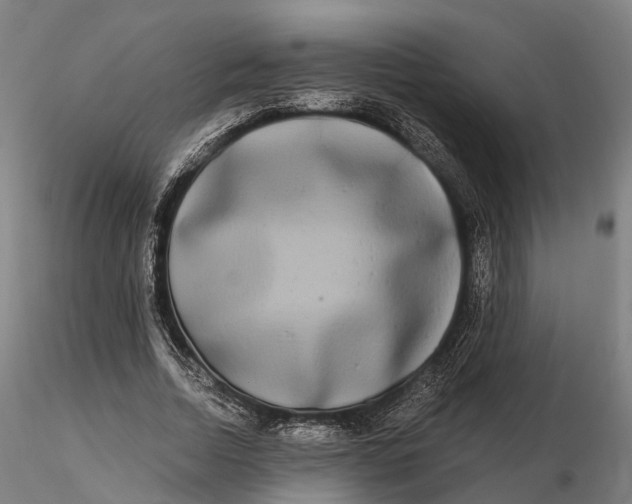 X0000115700730200912031504