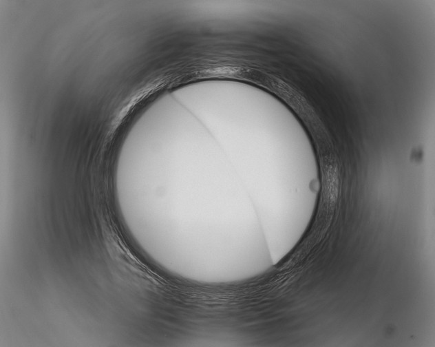 X0000115700731200912031504