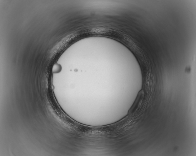 X0000115700734200912031504