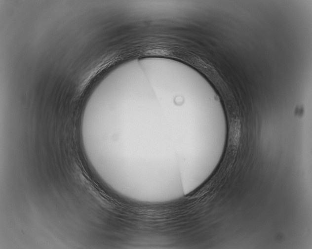 X0000115700735200912031504