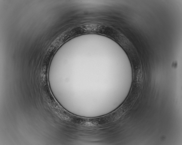 X0000115700737200912031504