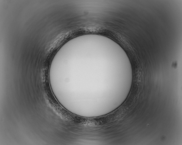 X0000115700738200912031504