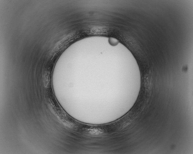 X0000115700741200912031504