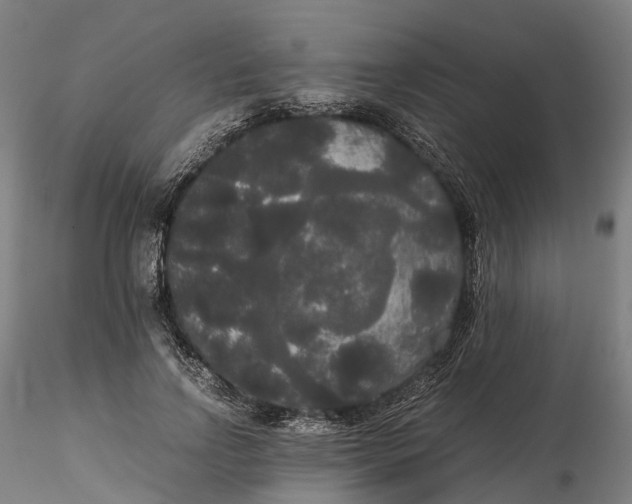 X0000115700742200912031505