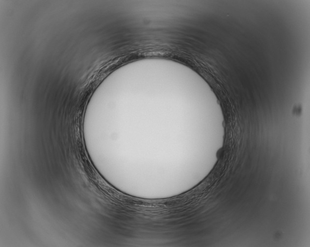 X0000115700743200912031505