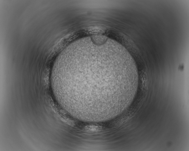 X0000115700745200912031505