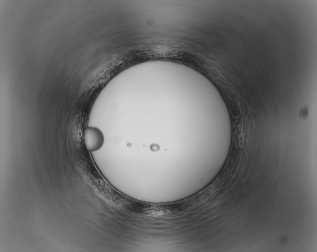 X0000115700746200912031505