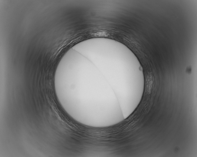 X0000115700747200912031505