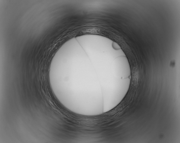 X0000115700751200912031505