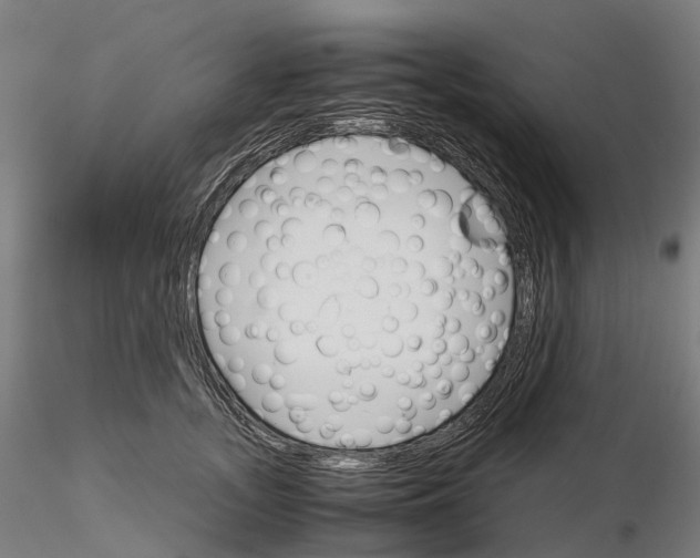 X0000115700755200912031505