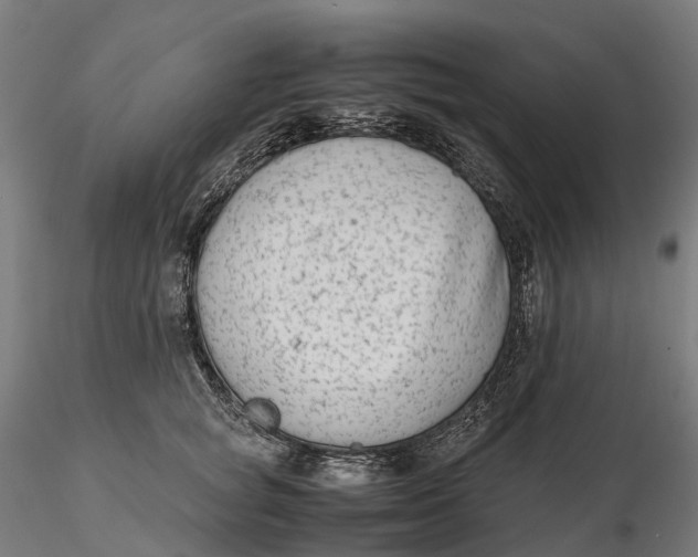 X0000115700757200912031505