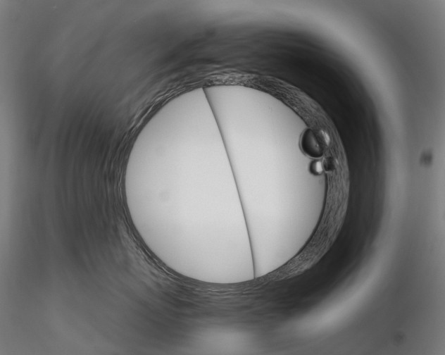 X0000115700767200912031505