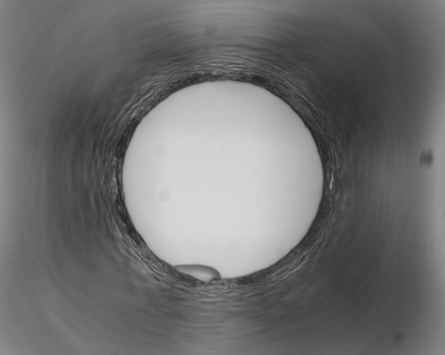 X0000115700771200912031504