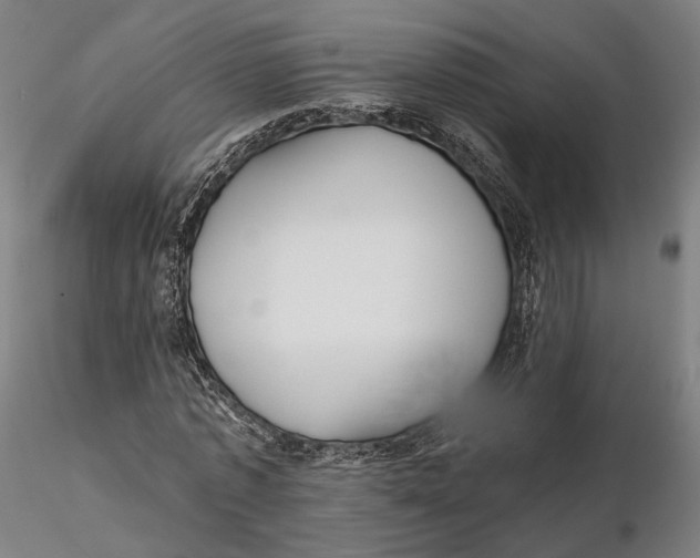 X0000115700773200912031504