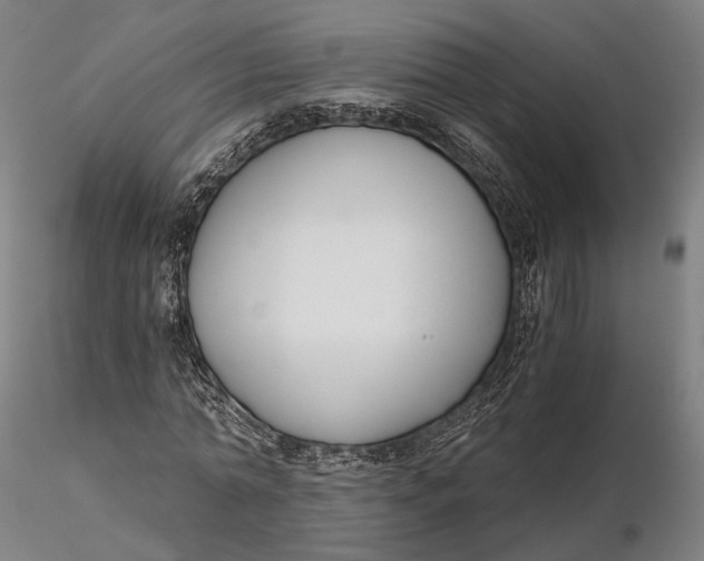 X0000115700774200912031504