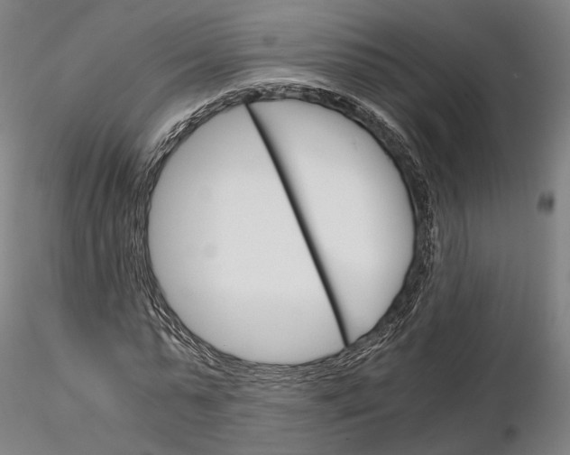 X0000115700775200912031504