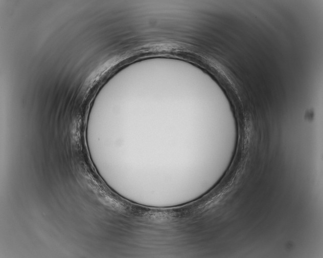 X0000115700778200912031504