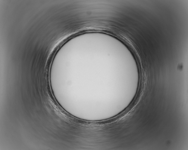 X0000115700779200912031504