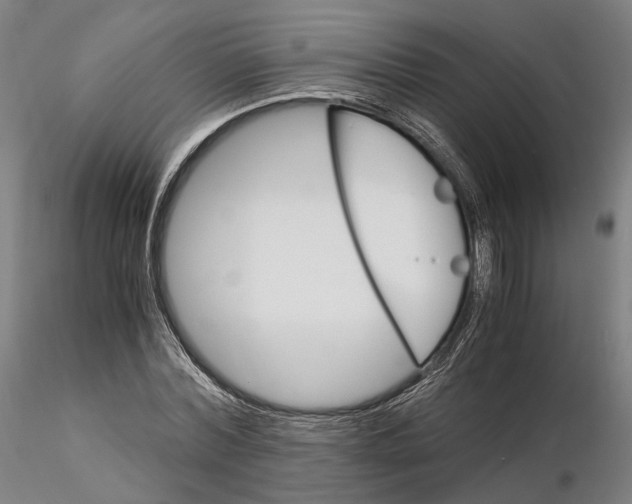 X0000115700780200912031504