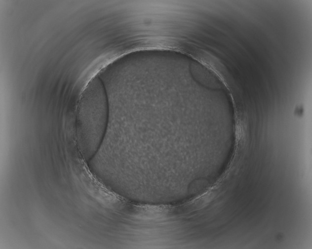 X0000115700781200912031504