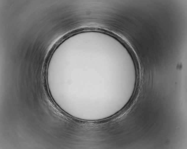 X0000115700783200912031504