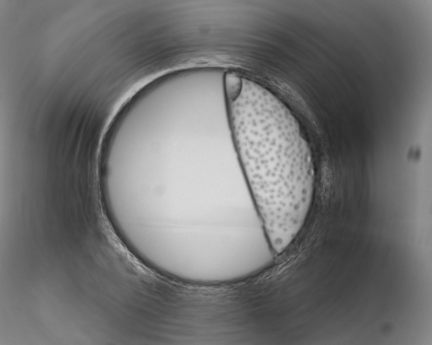 X0000115700784200912031504