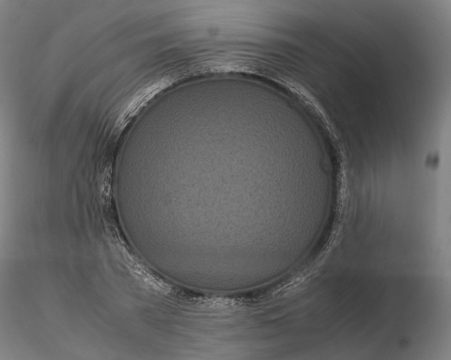 X0000115700785200912031504