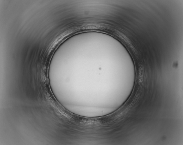 X0000115700786200912031504