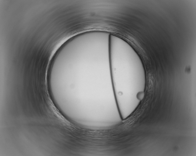 X0000115700788200912031504