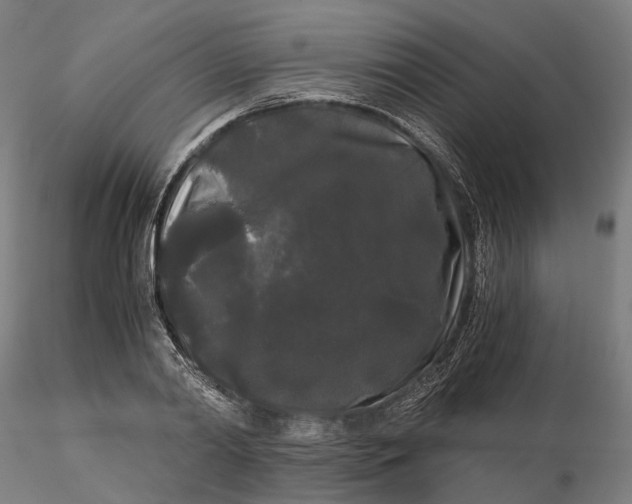 X0000115700790200912031504